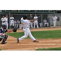 Sebastian Samuels of the Willmar Stingers
