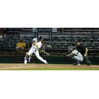 Burlington Bees at the plate