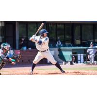 Former Mobile BayBears Infielder David Fletcher