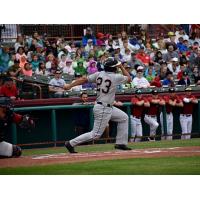 Albany Dutchmen outfielder Griffen Herrera
