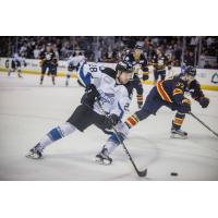 Will Merchant of the Idaho Steelheads