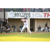 Landon Stephens of the St. Cloud Rox
