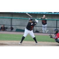 Ramon Cabrera of the Long Island Ducks awaits a pitch