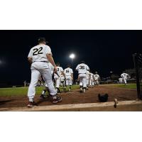 Rockford Rivets enter the field