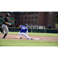 Saugerties Stallions vs. the Albany Dutchmen