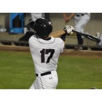 Danny Dorn of the Somerset Patriots