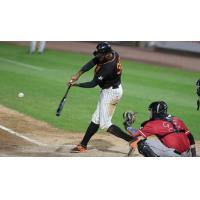 David Washington connects for the Long Island Ducks