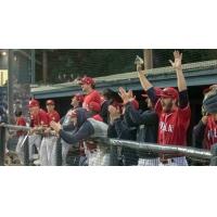 Walla Walla Sweets bench celebrates