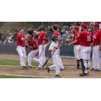 Walla Walla Sweets celebrate Josh Prizina's homer
