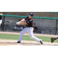 Travis Snider of the Long Island Ducks takes a swing
