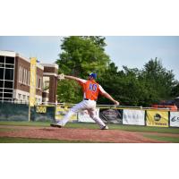 Albany Dutchmen pitcher Steven Plaskett
