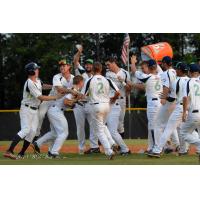 Fayetteville SwampDogs celebrate a walk-off win
