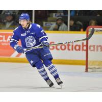 Albert Michnac skates with the Mississauga Steelheads
