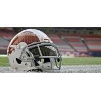 Montreal Alouettes throwback helmet