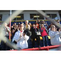 Vallejo Admirals fans