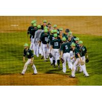 Yakima Valley Pippins celebrate a win