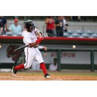 Florida Fire Frogs at bat