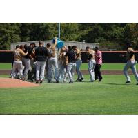 Down East Wood Ducks celebration