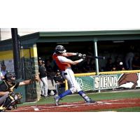 Albany Dutchmen with a big swing against the Saugerties Stallions