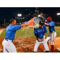 FSL All-Star Game MVP, Tampa Tarpons INF Diego Castillo congratulated by teammates