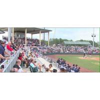 Fans watching the Lexington County Blowfish