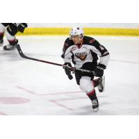 Vancouver Giants defenceman Alex Kannok Leipert