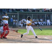 Richie Garcia of the Willmar Stingers