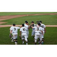 Rockford Rivets enter the field