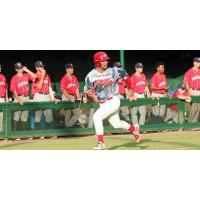 Acadiana Cane Cutters outfielder Cole Taylor