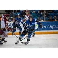 Saint John Sea Dogs in action