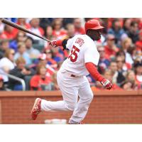 Infielder Jermaine Curtis with the Cincinnati Reds