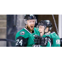 Texas Stars defenseman Reece Scarlett
