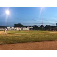 Elmira Pioneers vs. the Albany Dutchmen