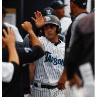 Angel Aguilar is congratulated in the Tampa Tarpons dugout