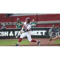 Wisconsin Rapids Rafters swing away