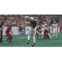 Maine Mammoths receiver Rob Brown
