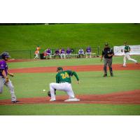 Normal CornBelters first baseman Chris Iriart digs out a throw