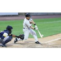 Lew Ford of the Long Island Ducks makes contact