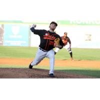 Long Island Ducks pitcher Tyler Badamo