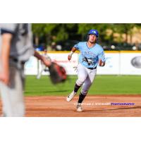 Nicky Gibbs of the Victoria HarbourCats on the basepaths