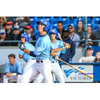 Mike Malinchak of the Victoria HarbourCats