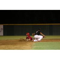 Texarkana Twins with a close play against the Acadiana Cane Cutters