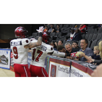 Jacksonville Sharks celebrate