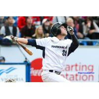 Dustin Miller Swings away for the Victoria HarbourCats