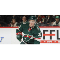 Defenseman Nick Seeler with the Minnesota Wild