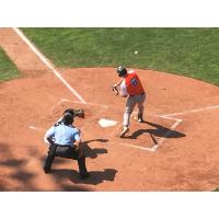 Jamestown Jammers vs. the Albany Dutchmen