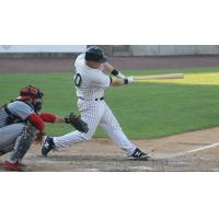 Lew Ford swings away for the Long Island Ducks