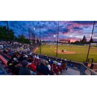 Dusk at the ballpark