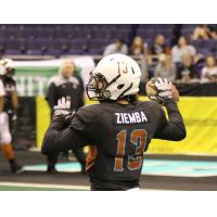 Arizona Rattlers quarterback Jeff Ziemba