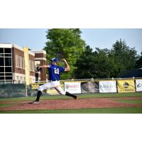 Albany Dutchmen pitcher Max Cioffi